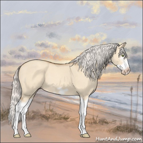 Horse Color:Silver Classic Champagne Dun Splash Frame