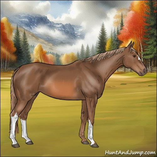 Horse Color:Chestnut 