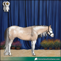Horse Color:White Spotted Sable Champagne Dun Sabino Splash Rabicano 