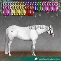 Horse Color:White Spotted Sable Champagne Dun Sabino Splash Rabicano 