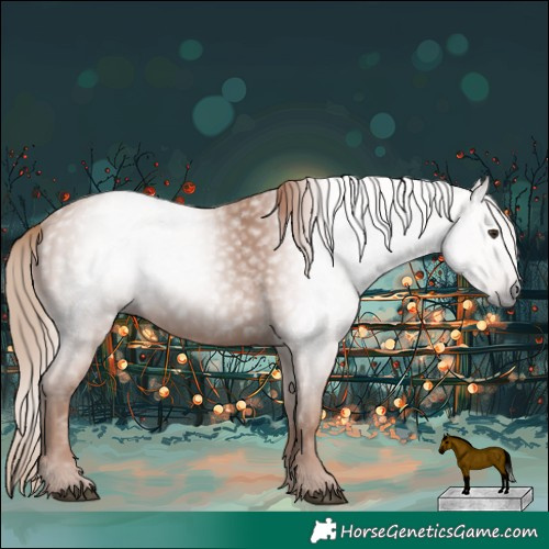 Horse Color:Gray Chestnut 