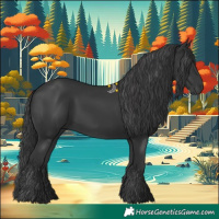 Horse Color:Black 