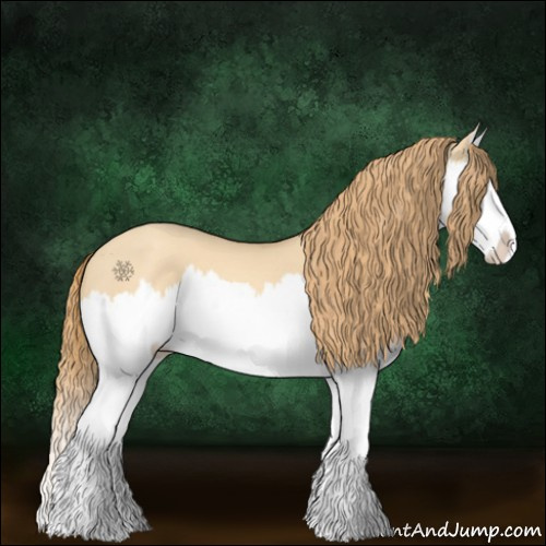 Horse Color:Gold Champagne Dun Splash 