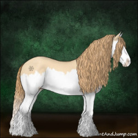 Horse Color:Gold Champagne Dun Splash 