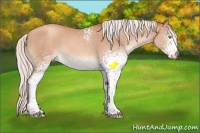 Horse Color:White Spotted Silver Amber Champagne Tobiano Rabicano 
