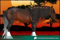 Horse Color:Brown 