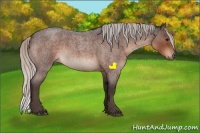 Horse Color:Silver Brown Roan 