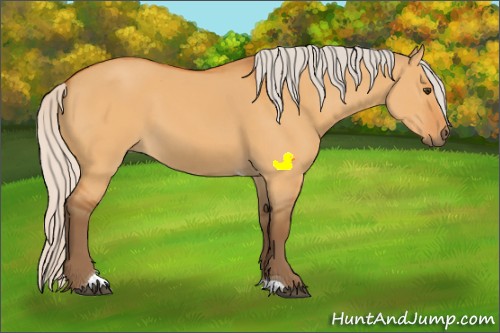 Horse Color:Silver Buckskin Dun Tobiano 