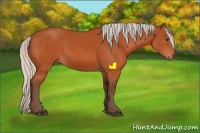 Horse Color:Silver Brown Sabino 