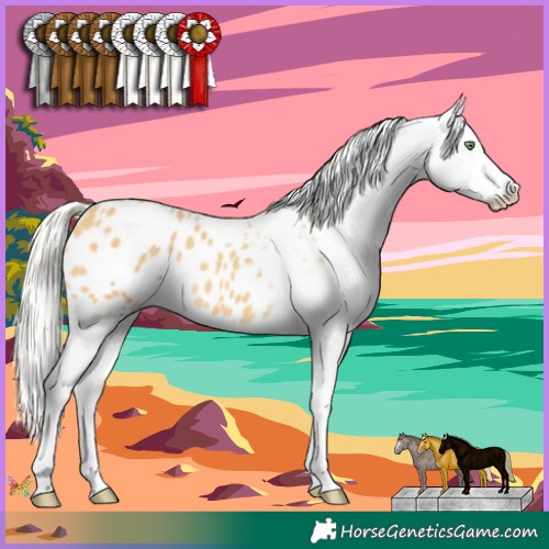 Horse Color:Silver Sable Cream Champagne Appaloosa 