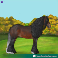 Horse Color:Brown 