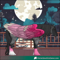 Horse Color:Blue Roan Rabicano 