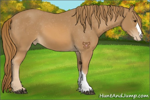 Horse Color:Chestnut Varnish 