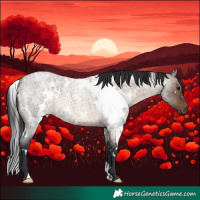 Horse Color:White Spotted Brown Roan Dun Rabicano 