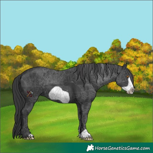 Horse Color:Black Frame 