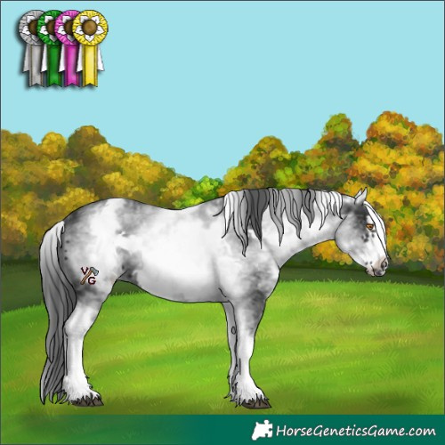 Horse Color:White Spotted Black Frame 