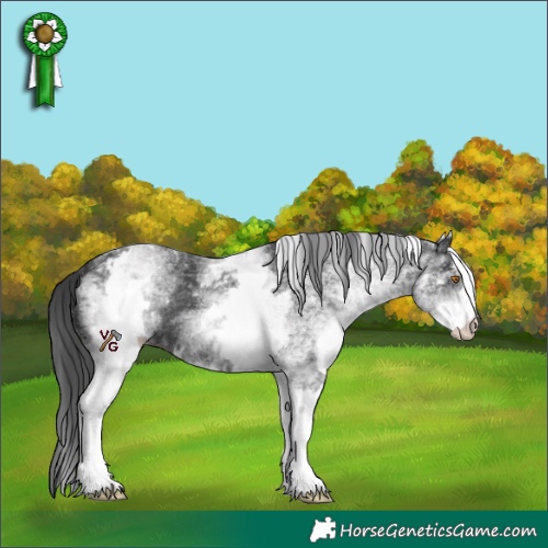 Horse Color:White Spotted Black 