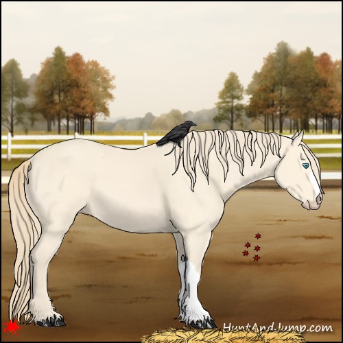 Horse Color:Perlino 
