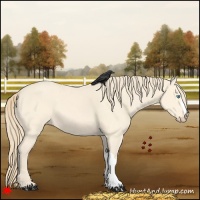 Horse Color:Perlino