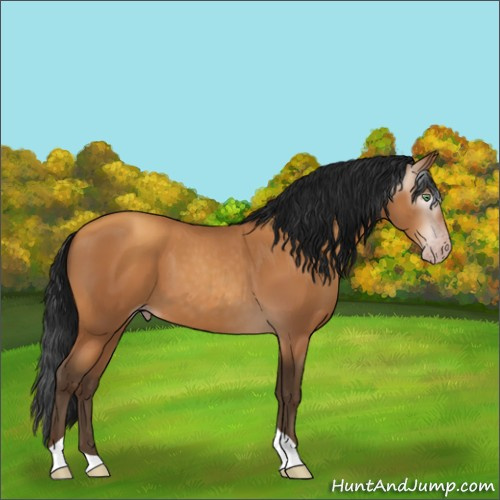 Horse Color:Gray Amber Champagne Tobiano
