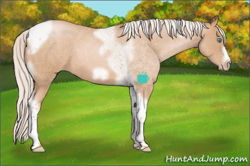 Horse Color:Silver Buckskin Roan Pearl Tobiano Frame 