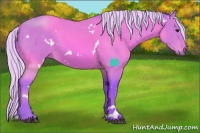Horse Color:Watercolor White Spotted Silver Bay 