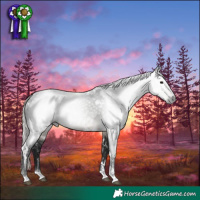 Horse Color:Gray White Spotted Silver Smoky Black