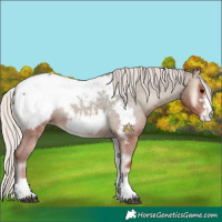 Horse Color:Silver Blue Onyx Snowcap 