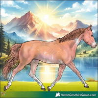 Horse Color:Watercolor Chestnut Sabino 