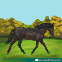 Horse Color:Brown 