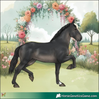 Horse Color:Black 