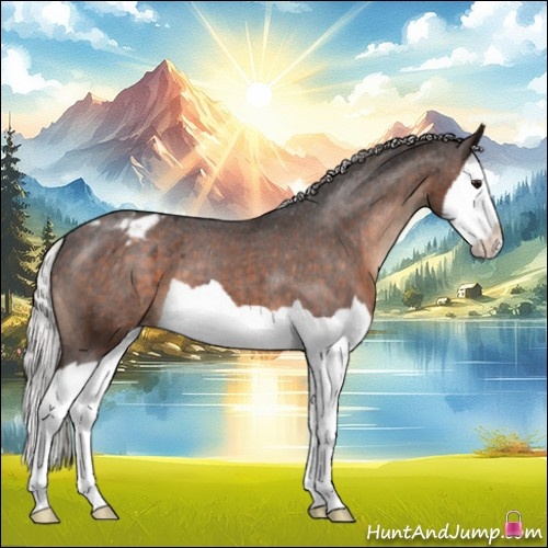 Horse Color:Silver Brown Splash Appaloosa 