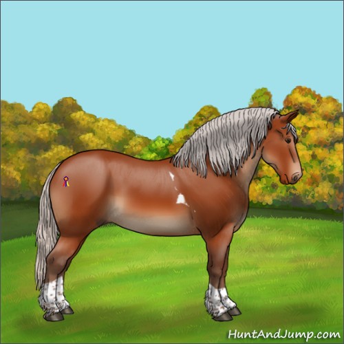 Horse Color:Silver Bay Tobiano