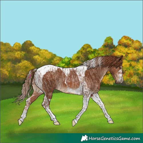 Horse Color:Red Roan Tobiano  and Chestnut Tobiano 