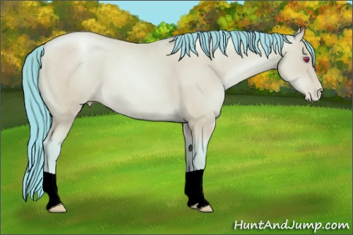 Horse Color:Watercolor Classic Champagne Chinchilla Pearl 