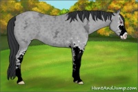 Horse Color:Classic Champagne Chinchilla Ice Sabino 
