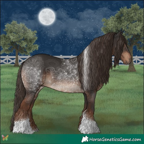 Horse Color:Liver Chestnut Tobiano 
