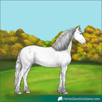 Horse Color:Silver Classic Cream Champagne Pearl Varnish 