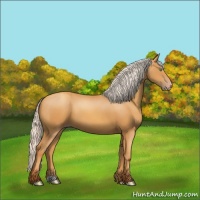Horse Color:Silver Sable Cream Champagne 
