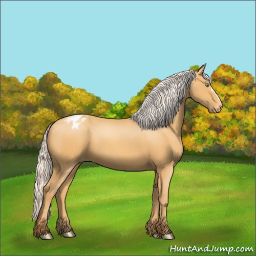Horse Color:Silver Sable Cream Champagne Varnish