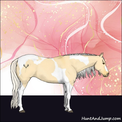 Horse Color:Silver Buckskin Dun Tobiano 