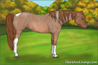 Horse Color:Red Roan Tobiano 