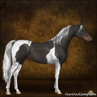 Horse Color:Liver Chestnut Mushroom Tobiano 