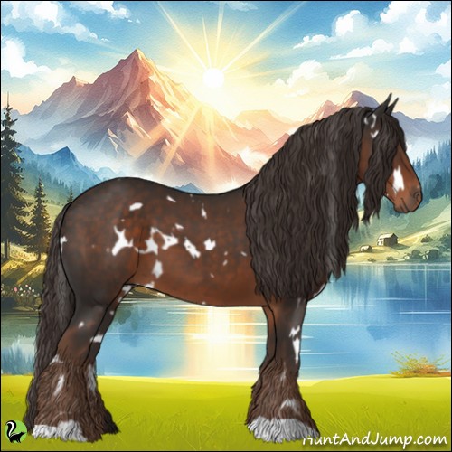Horse Color:White Spotted Liver Chestnut 