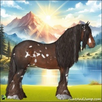 Horse Color:White Spotted Liver Chestnut 