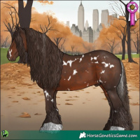 Horse Color:White Spotted Liver Chestnut