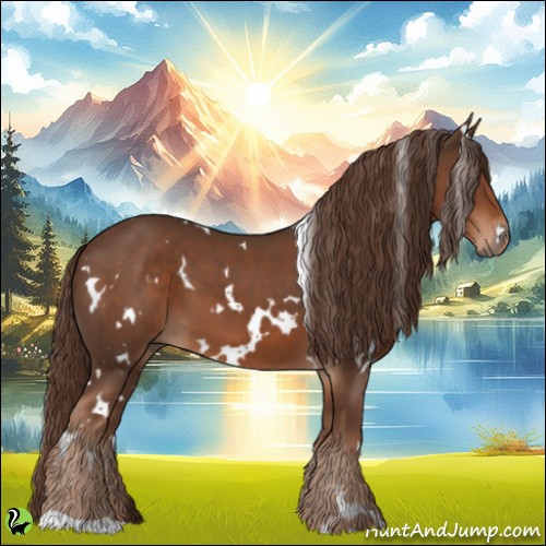 Horse Color:White Spotted Liver Chestnut 