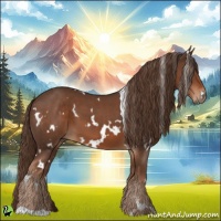 Horse Color:White Spotted Liver Chestnut 