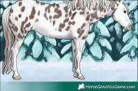 Horse Color:Chocolate Black Ice Splash Appaloosa 