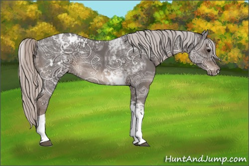 Horse Color:Silver Black Ice Tobiano 
